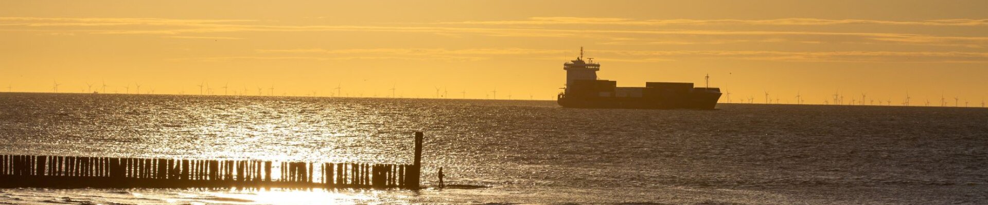 Westerschelde