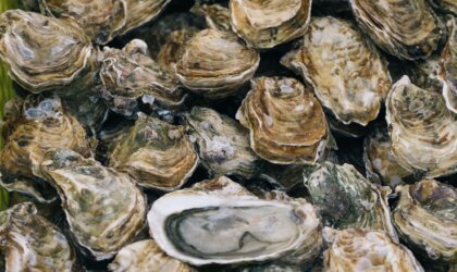 Oesters