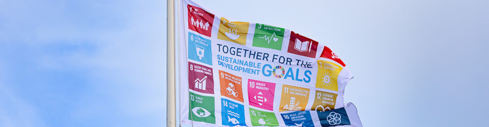 Wapperende SDG-vlag