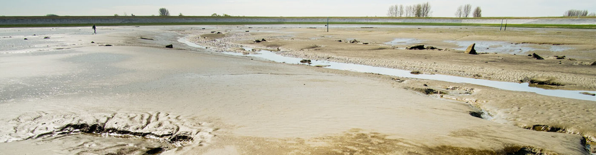 Dry tidal flat with mud, channels, and a dike in the background