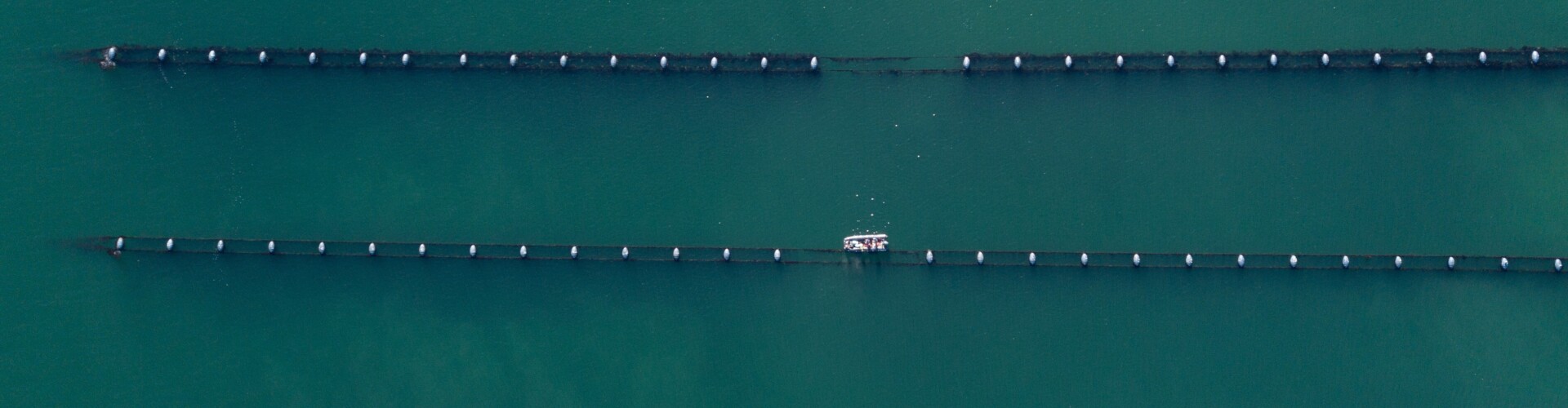 Luchtfoto aquacultuur