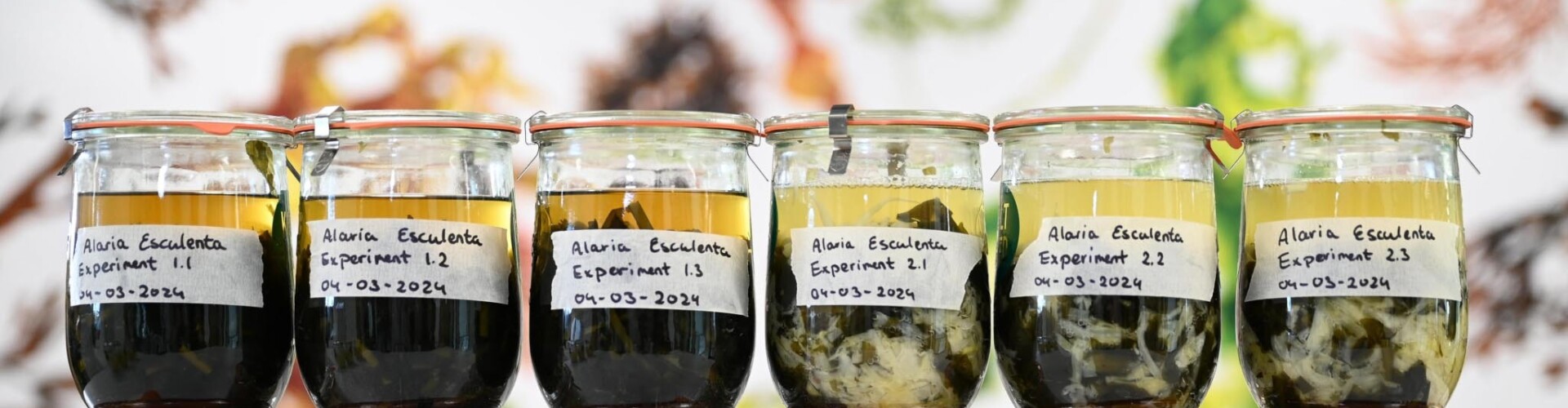 Potten waarin wordt geëxperimenteerd met houdbaarheid van eten