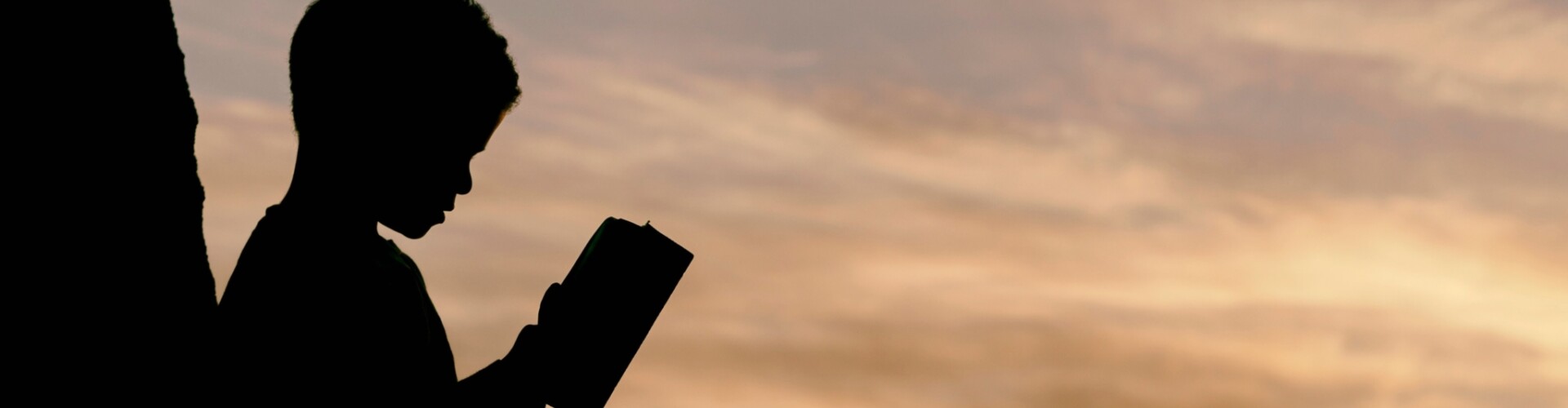 Boy reading a book at dusk