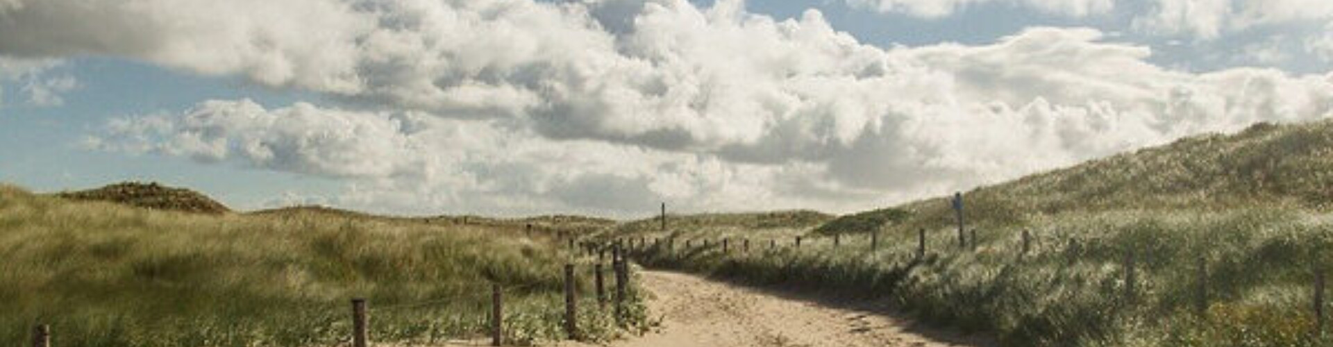 Duinen van Zeeland