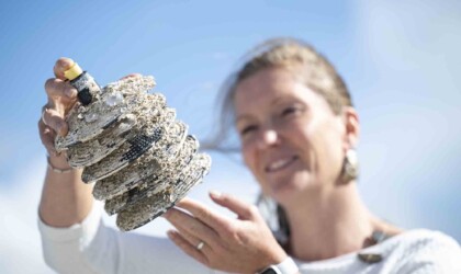 Eva Hartog with oyster harvesting equipment