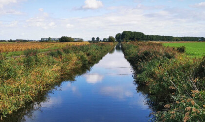 Zeeuws landschap van een sloot en landbouwgrond