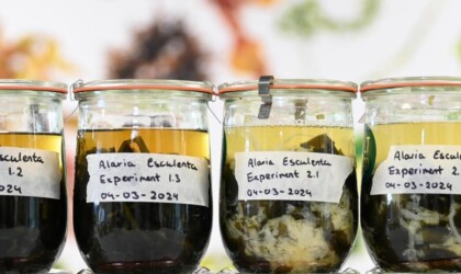 Potten waarin wordt geëxperimenteerd met houdbaarheid van eten