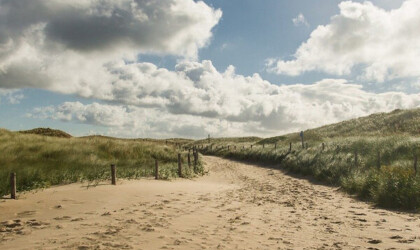 Duinen van Zeeland