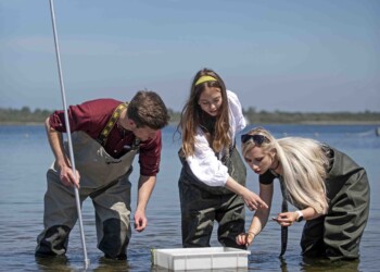 Drie watermanagement studenten die onderzoek doen in het water