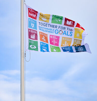 Wapperende SDG vlag